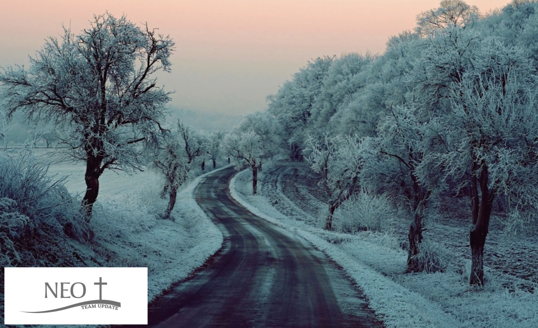 NEO Team Update